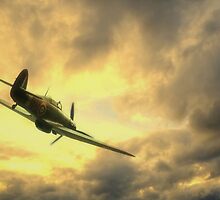 Back to Base by Nigel Bangert