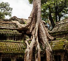 Overgrown Temple: Monk at Angkor Thom, Cambodia by thewaxmuseum