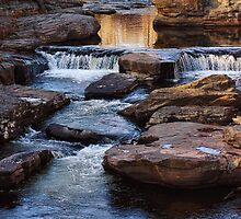 Changing Seasons by PineSinger