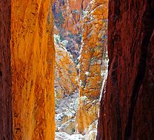 Red Walls by Harry Oldmeadow