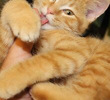 YOU TASTE GOOD! by Stephen Thomas