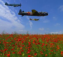 BBMF over the Poppy Field by AviationPrints