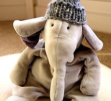 Nelly's Woolly Hat by Porcupinejane