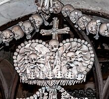 Human bones. by FER737NG