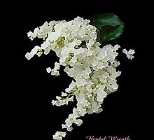THE SCENTS from OnnDeCats Garden by OnnDeCats