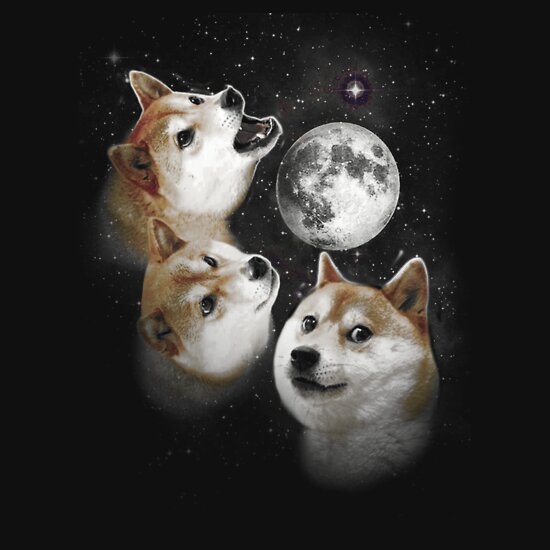 first dog on the moon t shirts