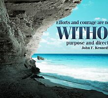 Efforts And Courage by pdblog