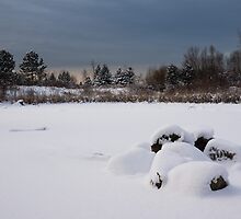 Fluffy Snowdrifts and Ominous,Threatening Skies by Georgia Mizuleva