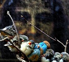 His Eye Is On The Sparrow by Seth Weaver
