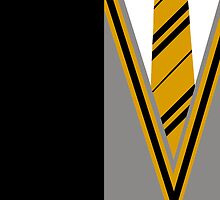 hufflepuff robes by remedies
