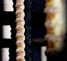 Inner Workings by Kathleen Daley