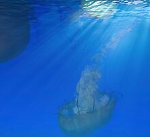 Under The Sea Pt 1 by Stephanie Bynum