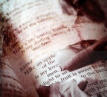 Beloved by Trish Mistric