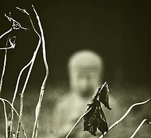 N A M A S T E by Birgitta †