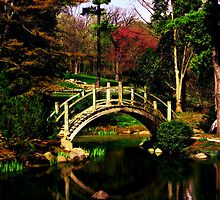 Batavia Japanese Gardens by SavagePhotos