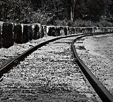 Following the train tracks by Scott Mitchell