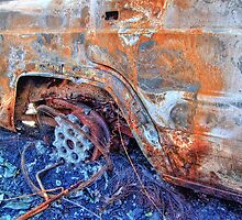 Burnt Out - HDR by Colin J Williams Photography