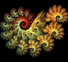 Toxic Coral by Ann Van Breemen