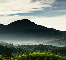 Misty Sunshine by Vikram Franklin