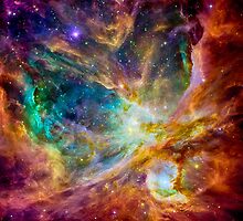 Where the stars are born by Eti Reid