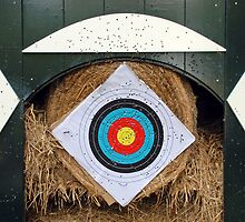 Archery statistics by Arie Koene