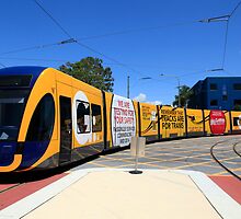 New Gold Coast Tram by Noel Elliot