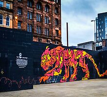 Painted Tiger by Stevie B