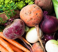 Mixed Veg by Anne Gilbert