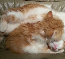 Acrobatic Sleeping Positions GO! by peachfly