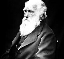 Charles Darwin | The Wighte Collection by FreshThreadShop