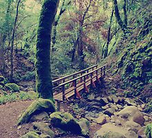 Let's Get to the Other Side by Laurie Search
