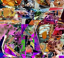 swallowing the solar maximum by Joshua Bell