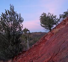 Outback Sunrise by Ellanita
