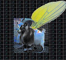 flys of Andamor suffer bird inflation by Joshua Bell