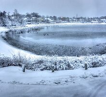 Bristol, RI by Nancy Richard