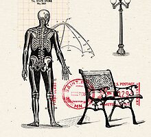 LA VEJEZ (the old age) by Alvaro Sánchez