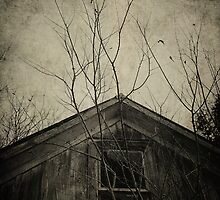 Into the Dark Past by Trish Mistric