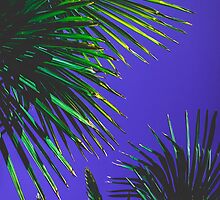Palm trees by MZawesomechic