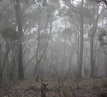 The Fog by Micheal A Edwards