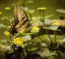 Hidden Treasure by Lois Bryan