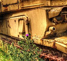 War is Over by Nigel Bangert