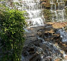 Albion Falls - The Descent - 2 © by © Hany G. Jadaa © Prince John Photography