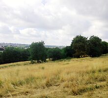 Landscape by creative-images