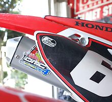 Motocross - Lucky Cricket by leih2008