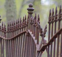Wrought Iron Fence in the Spring by Gilda Axelrod
