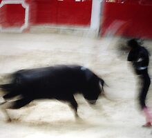BULLFIGHT 1 by danielgomez