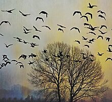 Bird Watching - JUSTART © by JUSTART