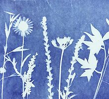 Floral Sunprint I by Summer Miles