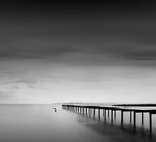 ... by alexey sorochan