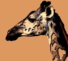 giraffe by tinncity